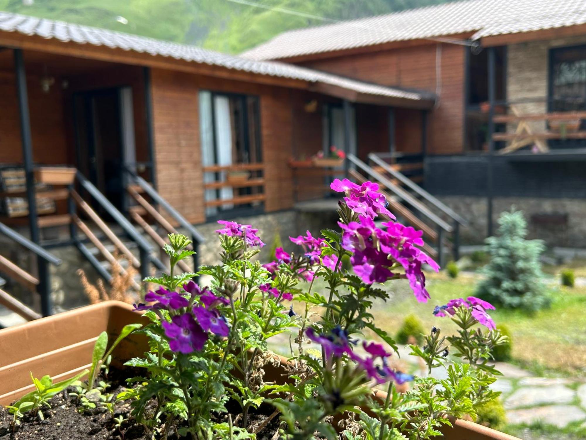 Panorama Cottages Stepancminda Exteriér fotografie